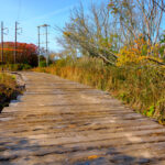 Types of Easements